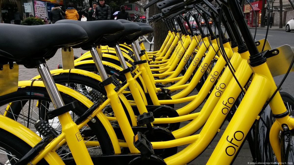 Ofo best sale bike price