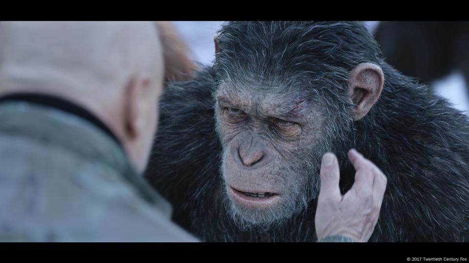 A battle for survival: 'Planet of the Apes' saga continues – DW – 07/11/2017 A battle for survival: 'Planet of the Apes' saga continues – DW – 07/11/2017