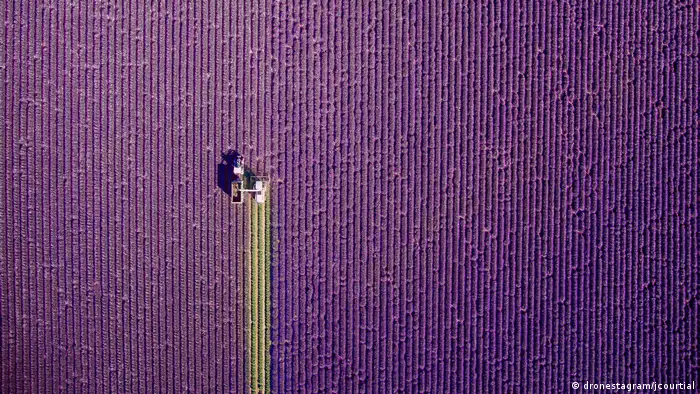 Foto eines Lavendelfelds in der Provence, durch das ein Traktor fährt. Siegerfoto der Kategorie Nature beim 4. International Drone Photography Contest (Foto: dronestagram/jcourtial)