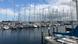 Schleswig-Holstein Strande FDP Hochburg Yachten Schleswig-Holstein Strande FDP Hochburg Yachten