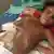 Дитина, яка постраждала внаслідок авіаудару в Ємені