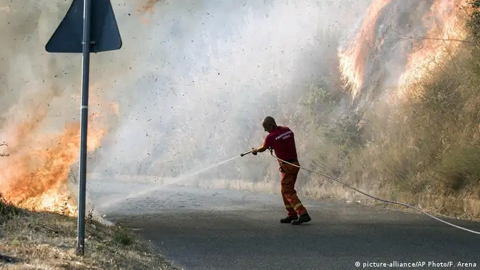 Wildfires in Italy (picture-alliance/AP Photo/F. Arena)