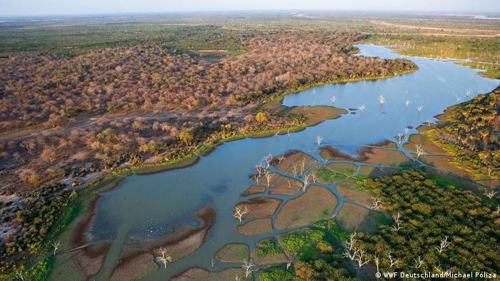 Tansania Selous Reservat