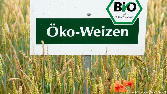 Ökologisch angebauter Weizen in Bayern (Foto: picture-alliance/dpa/A. Weigel)
