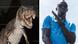 T. rex standing next to Usain Bolt T. rex standing next to Usain Bolt