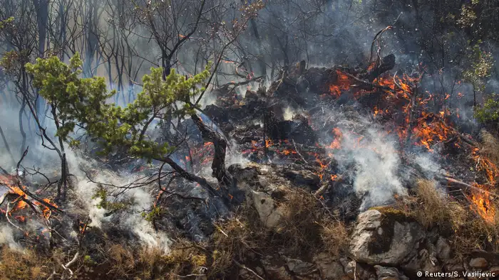 Wildfires in Montenegro (Reuters/S. Vasiljevic)
