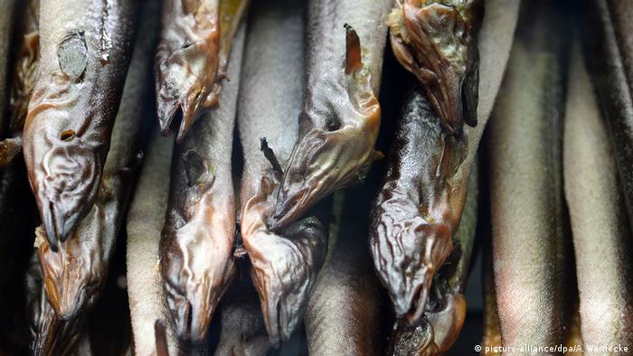 Smoked eel (picture-alliance/dpa/A. Warnecke)