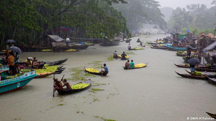 Monsoon Bangladesch (DW/M.M.Rahman)