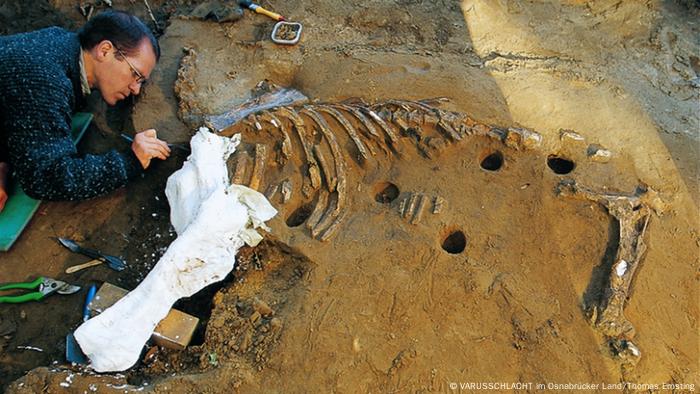 Archaeologist Axel Thiele is pictured recovering the skeleton of a mule in Kalkriese (VARUSSCHLACHT im Osnabrücker Land/Thomas Ernsting)