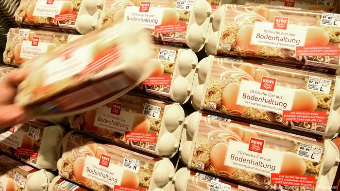 Deutschland Eier im Supermarkt REWE