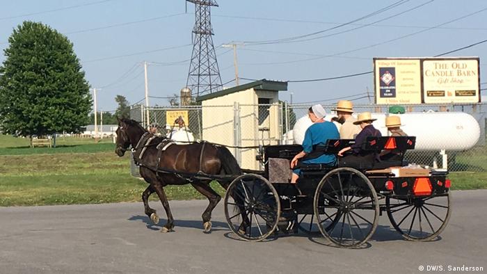 Amish people riding with a horse and buggy (DW/S. Sanderson)