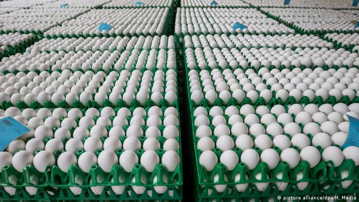 Skandal um belastete Eier