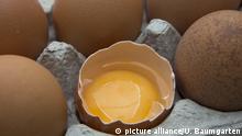 Зараженные фипронилом яйца обнаружены еще в двух странах ЕС