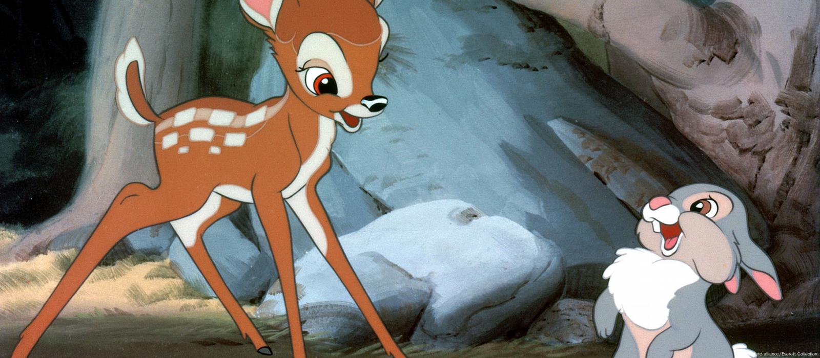 Disney Cartoon Porn Animal - Why 'Bambi,' at 75, isn't just for kids â€“ DW â€“ 08/08/2017