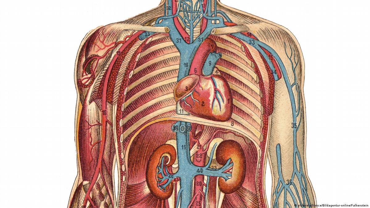 Qizlarning etiklarini yalash