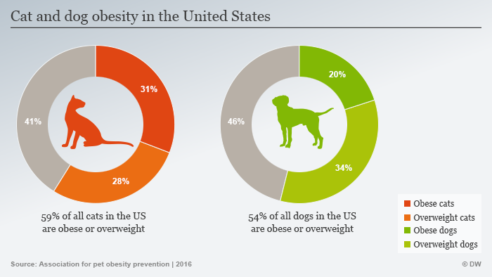 how many cats are killed by dogs each year