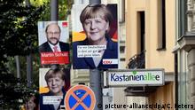 Опрос: За Меркель готовы проголосовать 52 процента избирателей