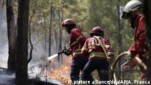 Cientos de bomberos combaten 6 grandes incendios en Portugal