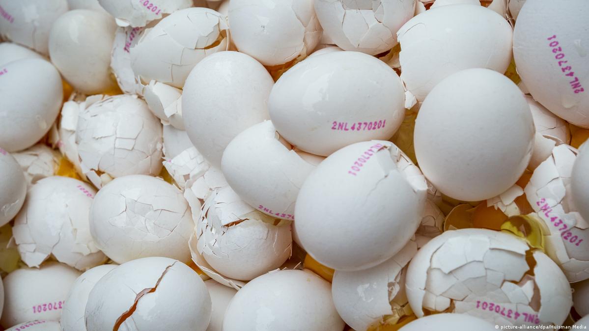 Court finds firms liable in fipronil egg scandal