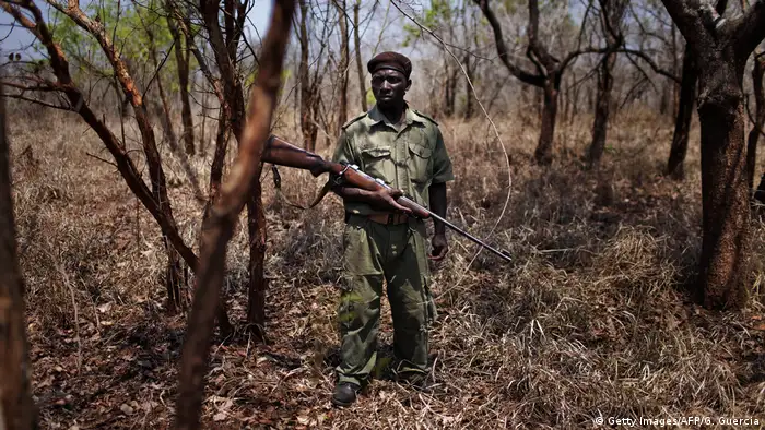 A ranger on patrol in Mozambique's National park