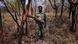Mosambik - Gorongosa National Park Mosambik - Gorongosa National Park