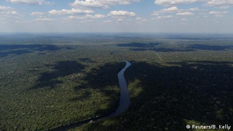 De los 26 estados de Brasil, Amazonas es el más grande. Está situado en el noroeste del país y está compuesto principalmente por bosques y aguas. La selva tropical más grande del mundo está creciendo aquí. ¿Pero por cuánto tiempo más?
