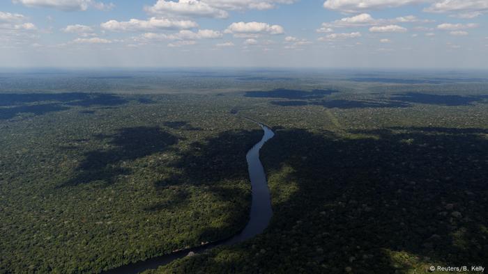 De los 26 estados de Brasil, Amazonas es el más grande. Está situado en el noroeste del país y está compuesto principalmente por bosques y aguas. La selva tropical más grande del mundo está creciendo aquí. ¿Pero por cuánto tiempo más?