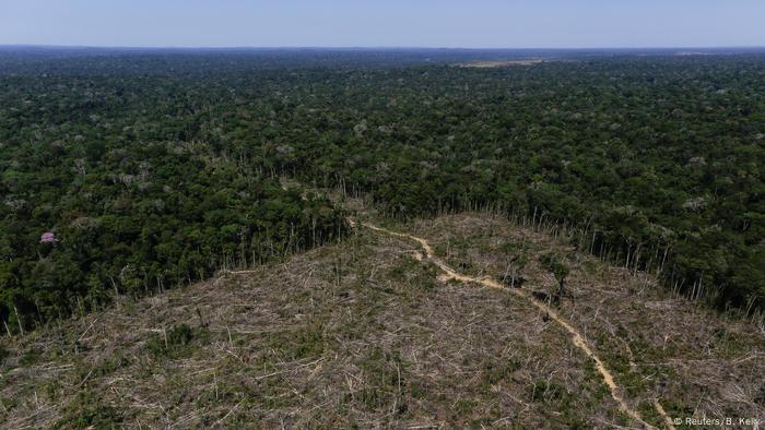 En los últimos doce meses casi 3.000 kilómetros cuadrados de bosque han sido destruidos en la Amazonía brasileña. Según un informe del instituto ambiental Imazon, la deforestación se ha frenado algo, pero todavía se lleva a cabo en grandes dimensiones. 