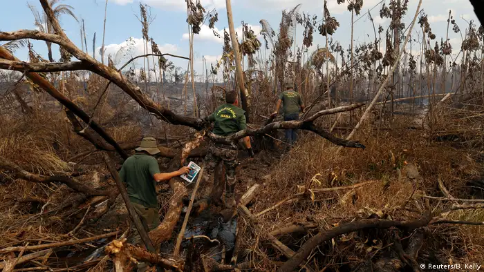 Desmatamento ilegal no sul do estado do Amazonas, em 2017