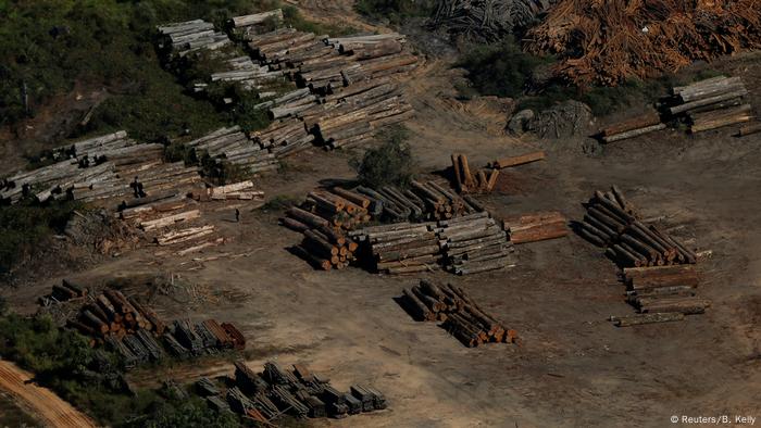 Deforestación ilegal en Brasil: empresas europeas trabajan con dudosos  proveedores | Ciencia y Ecología | DW | 25.04.2019