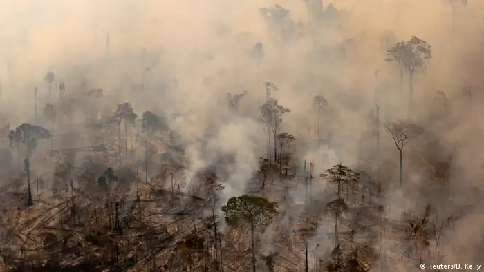 Brasilien Kampf gegen die Abholzung des Regenwaldes