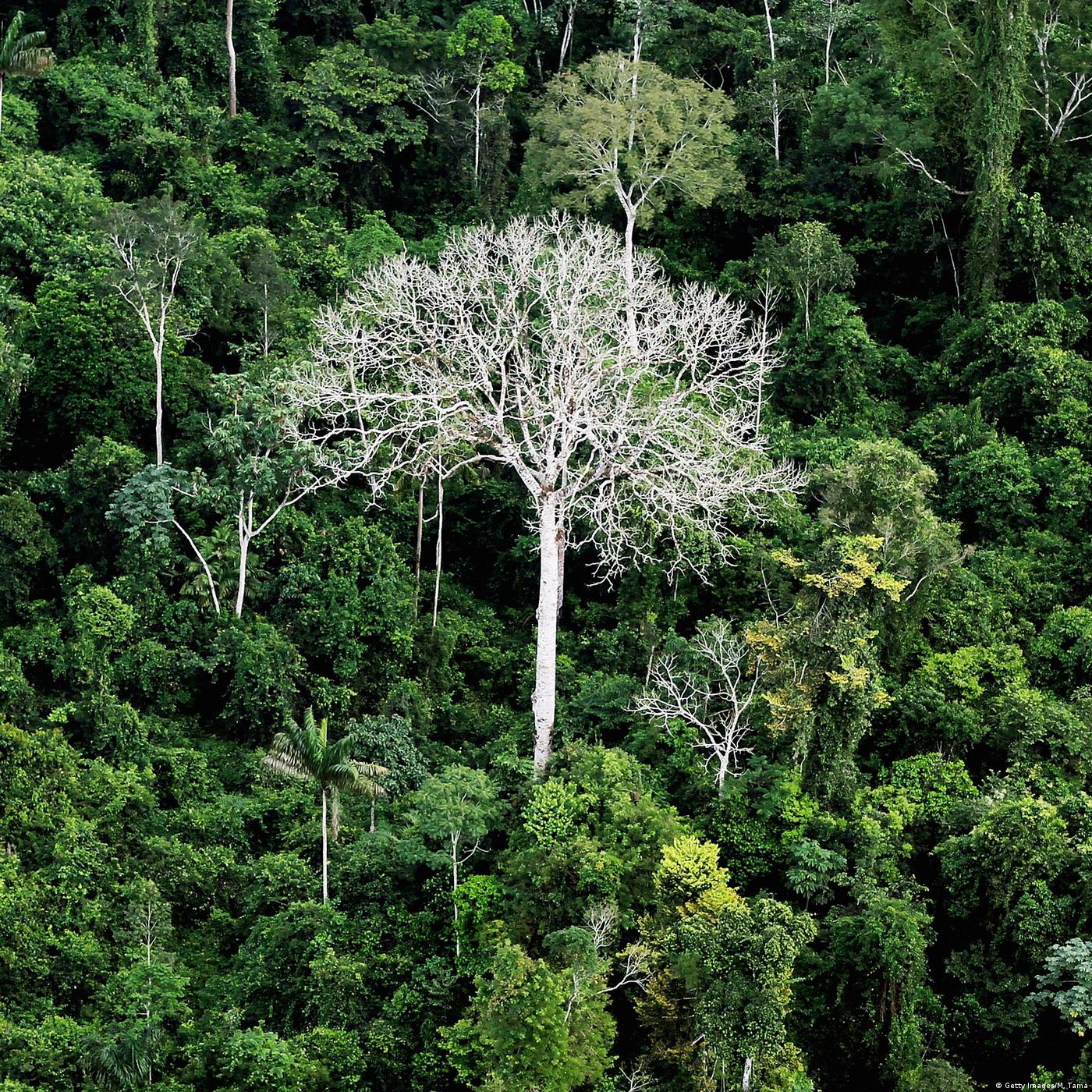 Living Planet: Cost of development