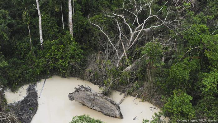 El gobierno brasileño ha aprobado la tala y remoción del suelo de una enorme área amazónica para la minería. El área de 46.000 kilómetros cuadrados se extiende a los estados del norte de Amapa y Pará. Se sospecha que allí hay ricos depósitos ricos de oro, cobre, mineral de hierro, manganeso y otras materias primas. 