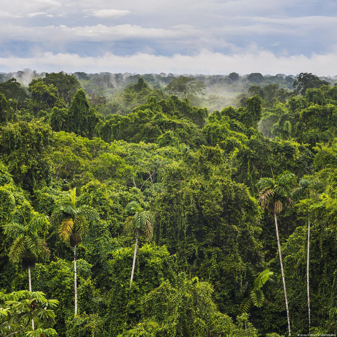 Living Planet: Defining wilderness (rebroadcast)