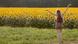 Junge Frau am Sonnenblumenfeld Junge Frau am Sonnenblumenfeld