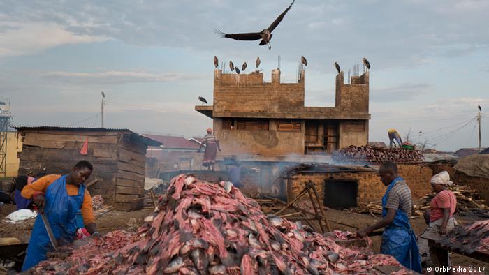 Three workers in blue aprons around a heap of pink fish with a bird circling above