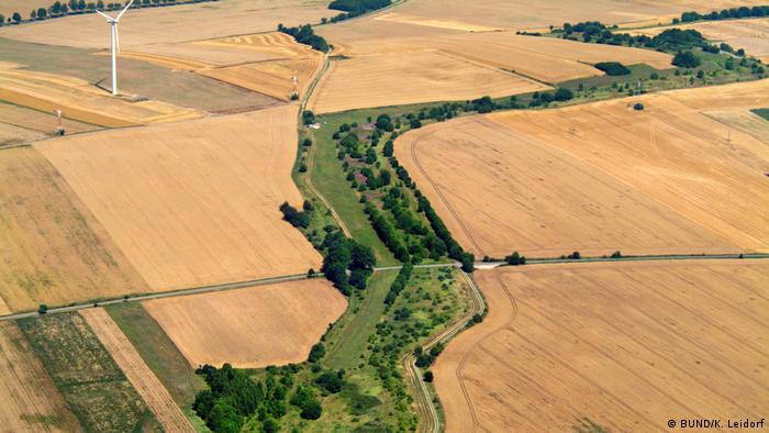 Germany's Green Belt