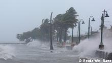 Cambio climático: ¿se vuelven normales los mega-huracanes?