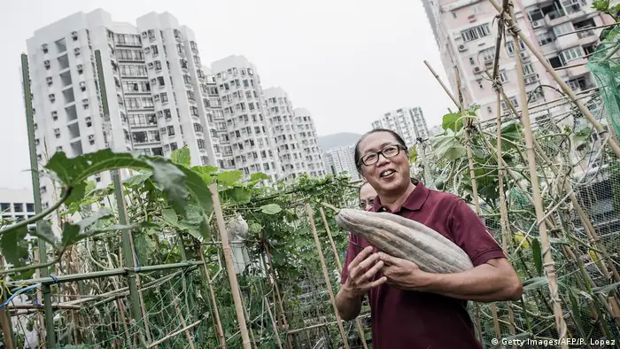 A man holding a vegetable in a rooftop garden (Getty Images/AFP/P. Lopez)