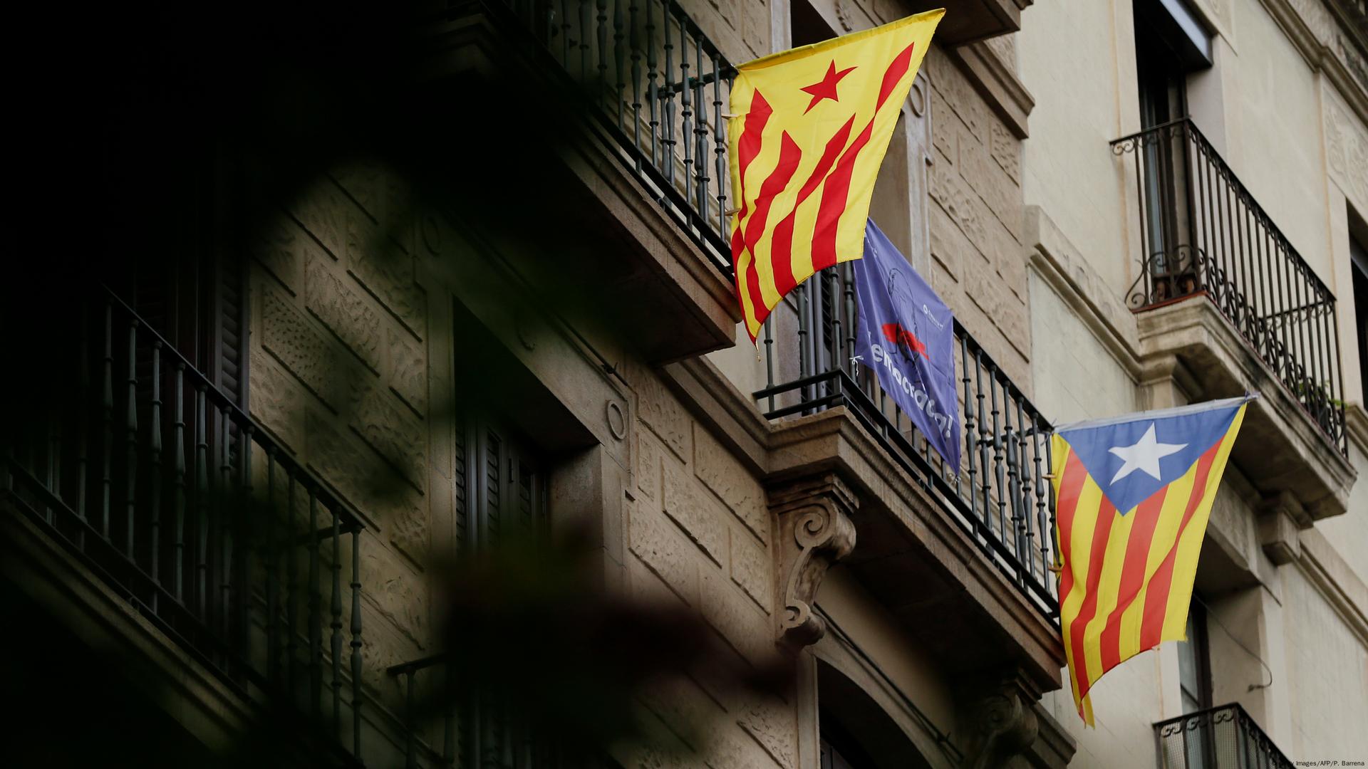 The Delegation will celebrate the Catalan language for Catalonia's