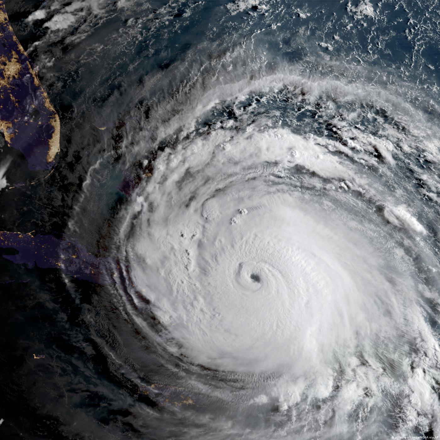 Living Planet: After the storm