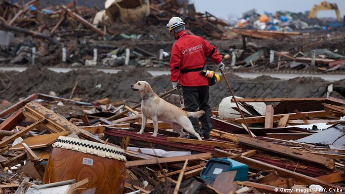 Un miembro del equipo de rescate canino busca víctimas tras el terremoto que azotó el noreste de Japón en 2011 y desato el desastre de Fukushima.