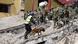 Rescuers work with dogs to search collapsed buildings in southern Mexico Rescuers work with dogs to search collapsed buildings in southern Mexico