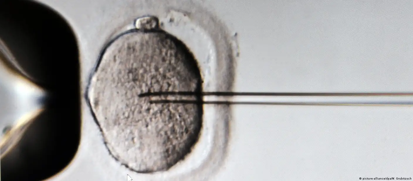 做宫腔内人工授精iui是否有机会怀双胞胎？ | Prime 珍珠生殖中心, image size:1408x616