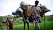 Рохинджа бегут из Мьянмы в Бангладеш Рохинджа бегут из Мьянмы в Бангладеш