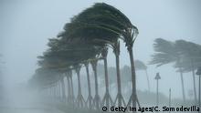 10.09.2017+++ FORT LAUDERDALE, FL - SEPTEMBER 10: Trees bend in the tropical storm wind along North Fort Lauderdale Beach Boulevard as Hurricane Irma hits the southern part of the state September 10, 2017 in Fort Lauderdale, Florida. The powerful hurricane made landfall in the United States in the Florida Keys at 9:10 a.m. after raking across the north coast of Cuba. (Photo by Chip Somodevilla/Getty Images)
