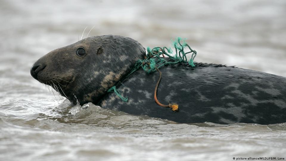 UN resolves to end ocean plastic waste – DW – 12/07/2017
