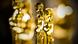 Oscar premiu Oscar premiu