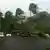 Ураган "Марія" повалив дерева в Гваделупі