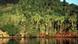 Papua is rich with biodiversity Papua is rich with biodiversity